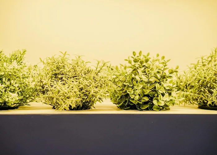 Confidence San Silvestro 4*